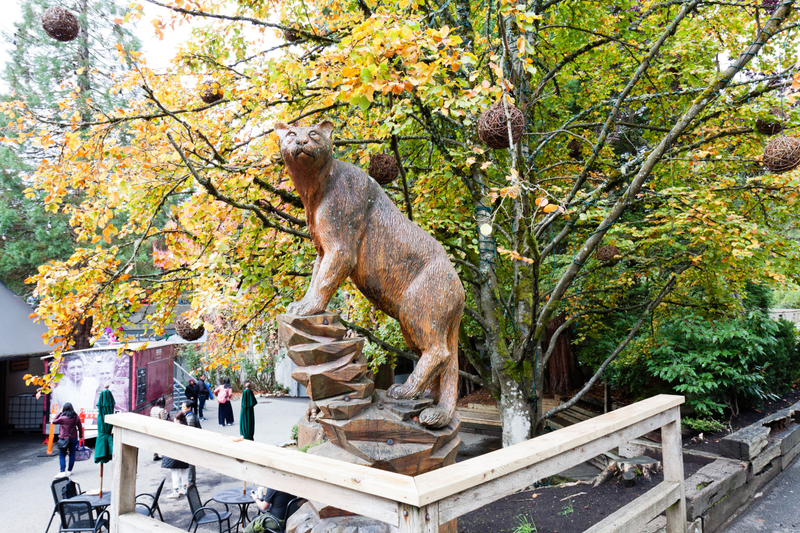 Illustration for article titled Pics from the (Mountain)side: 2016-10-10 at Grouse Mountain